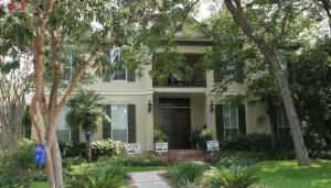 Louver Shutters - Alamo Heights,Tx-2